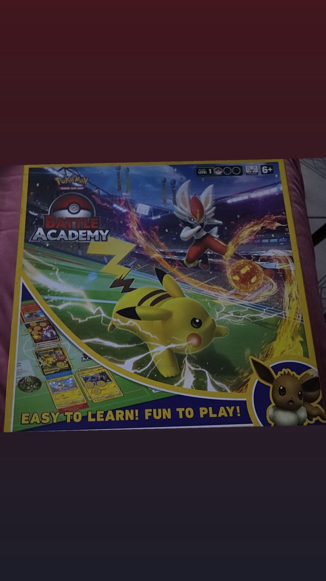 Pokémon Battle Academy