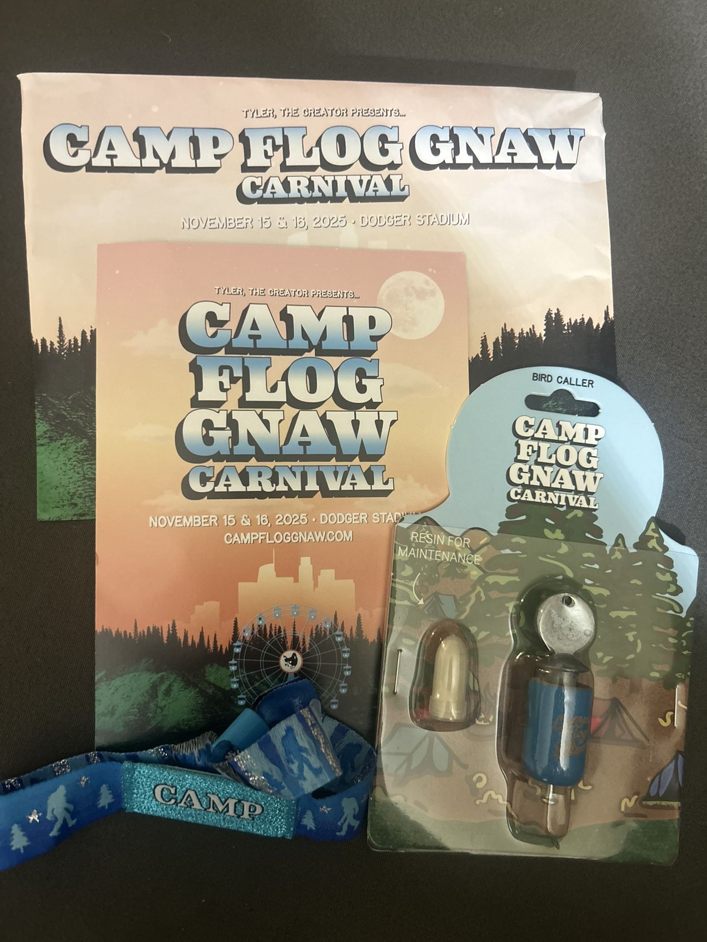 Camp Flog Gnaw 2025