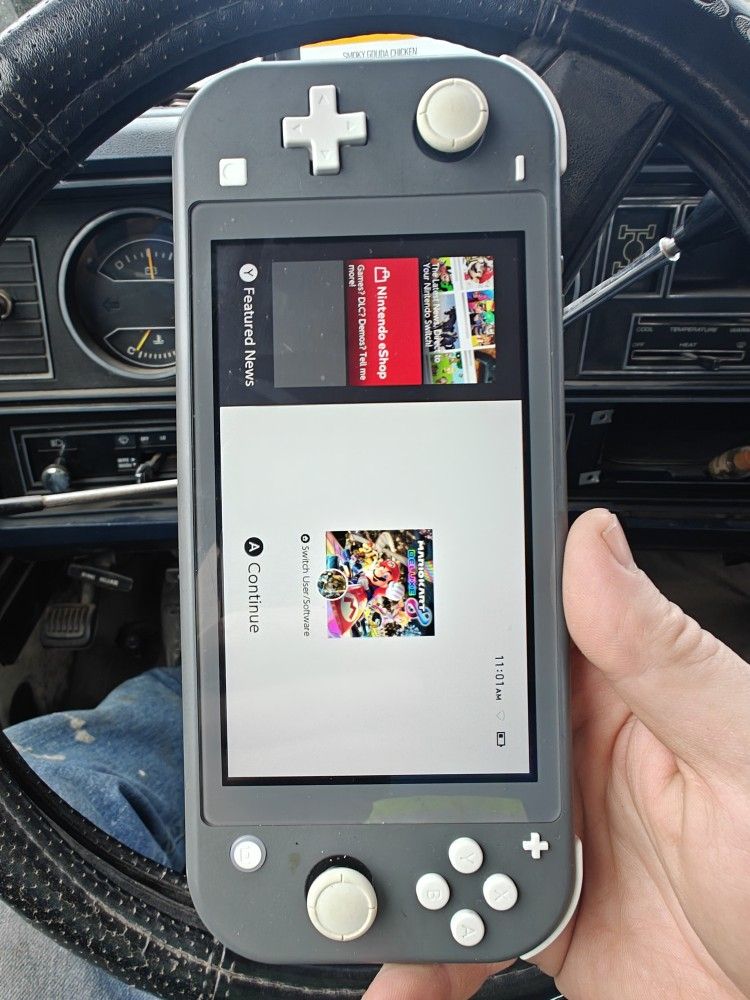 Nintendo Switch Lite