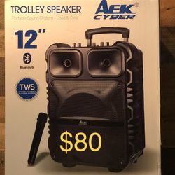 12” Aek CyBer Bluetooth Rechargable Speaker With Microphone And LED Display Lights 🔊🎤🔊🎶🎶🎶