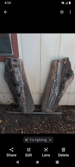 Alligator Juniper Slabs