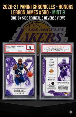 LeBron James- ($20)