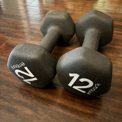 12 Lb Dumbbells 