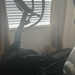 Elliptical-no Power Hookup Required 
