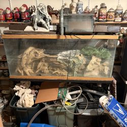 55 Gallon Fish tank With stand