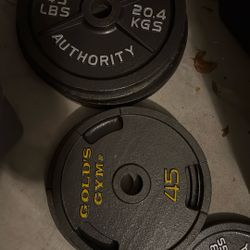 45 lb Gold’s Gym Weight Plates – Priced to Move! 