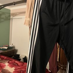 Pant