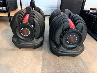 Bowflex SelectTech 552 Adjustable Dumbbells (Pair) with Bases