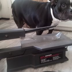 Craftsman 16-in Direct Drive Scroll Saw