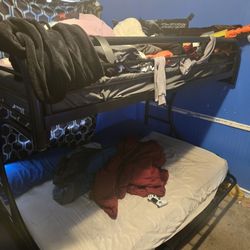 Bunk Beds