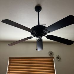 Free! Black fan
