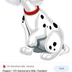 Dalmatian Costume 18-24 Months