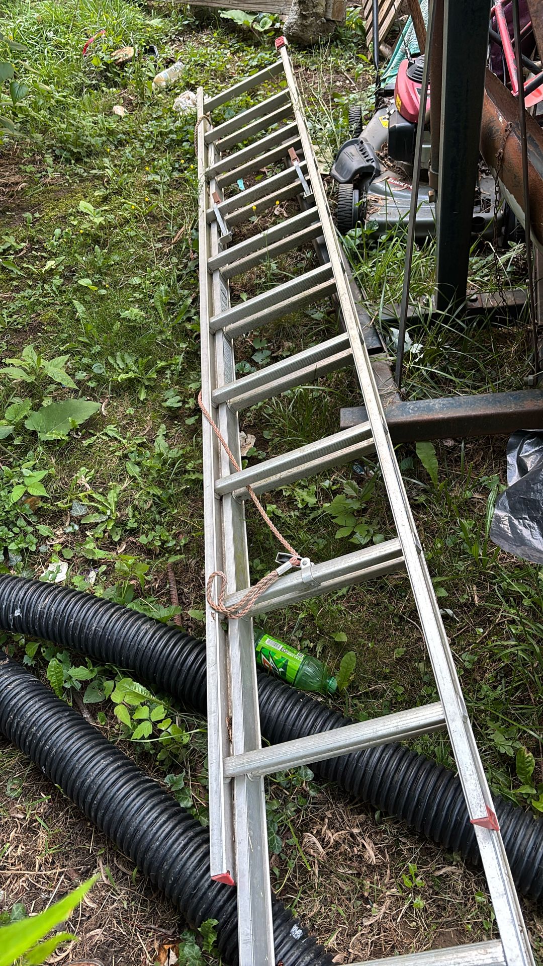 Extension Ladder 