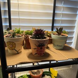 Hand painted terracotta nursery pots and succulents