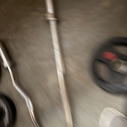 5 Foot Olympic Weights Women’s Bar