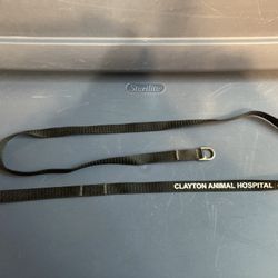 Pet Leash