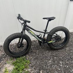 Specialized Fat Tire Kids Bike 