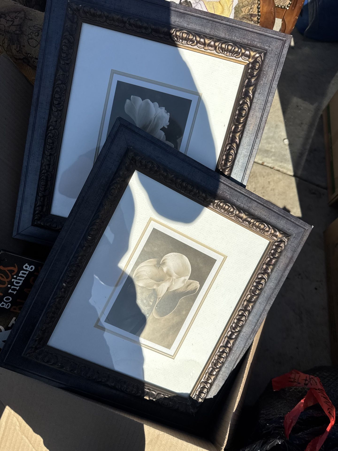 Flower Picture Frames 