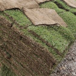 Grass Sod For Sale
