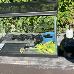 10 Gallon Tank With Supplies