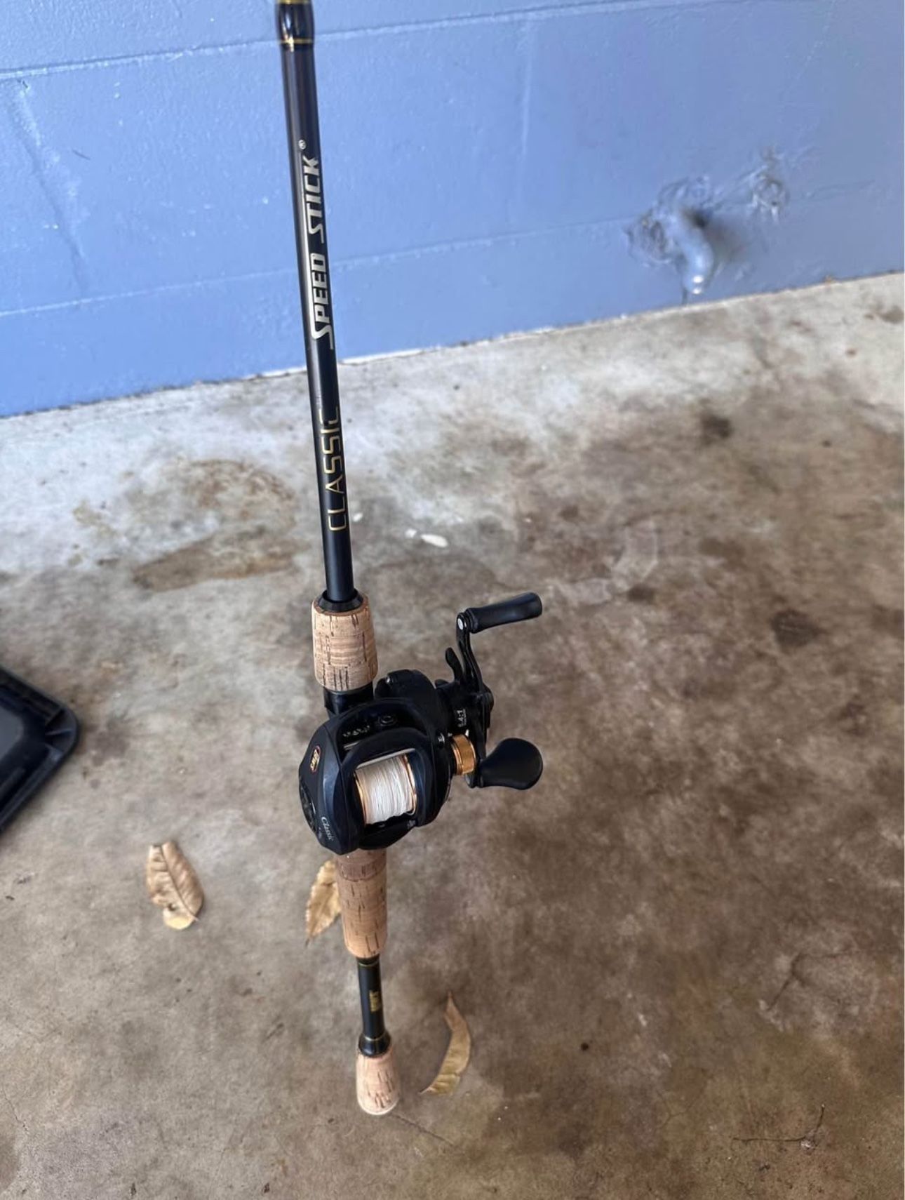 Lews Bait Caster