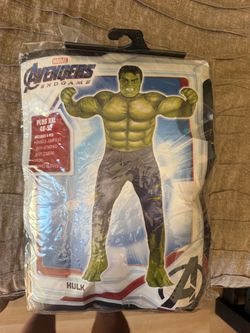 Marvel Avengers Endgame Hulk Costume Plus XXL