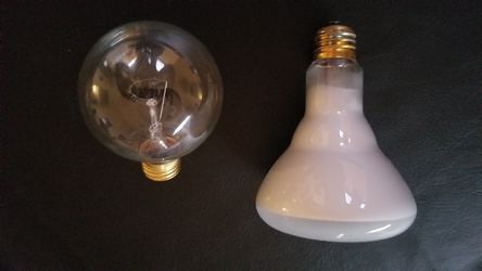 New lightbulbs