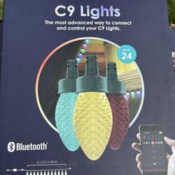 Smart Holiday lights