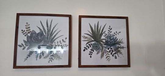 2 succulent wall art