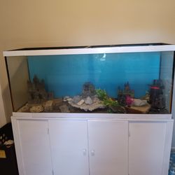 Fish Tank 100g 