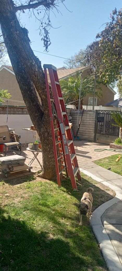 10 Foot Ladder