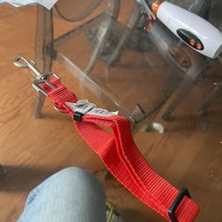 Pet Strap Buckle In 
