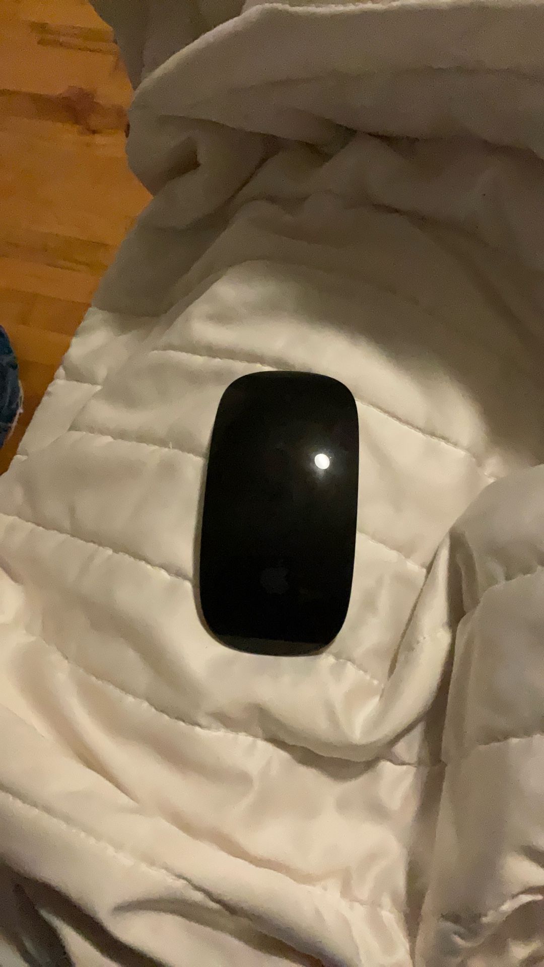 Apple Magic Mouse