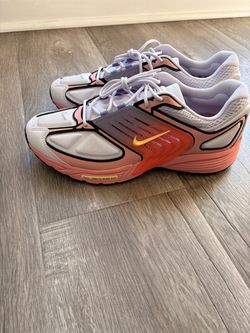 Nike Pegasus Wave size 10