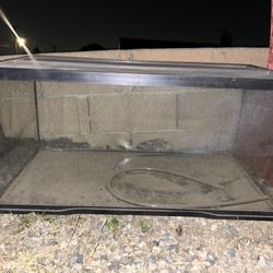 Fish Tank 