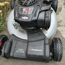 Cortadora De Sesped/ Lawn Mower 