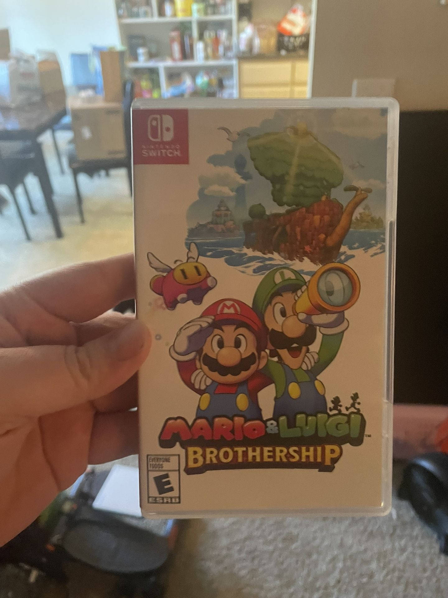 Mario And Luigi Brothership