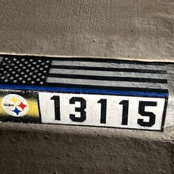 Steelers With large American flag 