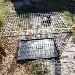 Large Dog Crate