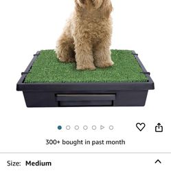 Petsafe pet Loo - Medium Size Portable Dog Potty