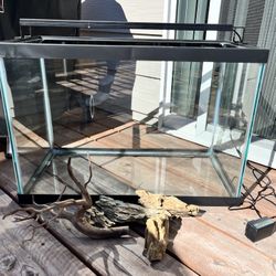 20 Gallon Fish Tank