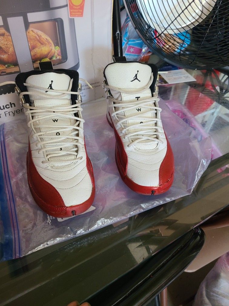 Air Jordan Cherry 12s Size 8 (2009)