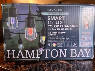Hampton Bay Smart 24 ft Color Changing LED String Lights