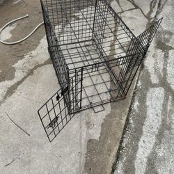 Dog Cage 