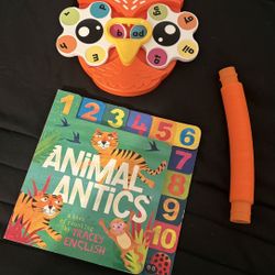 Toddler Learning Toys