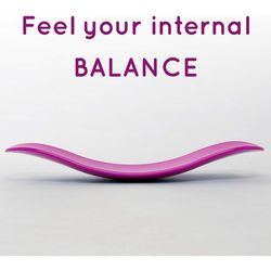 Abs Legs Core Workout Balancing Board