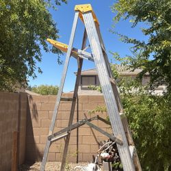 8ft Werner Ladder 