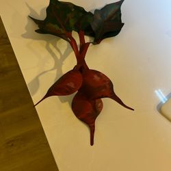 Metal Beet Wall Art, Signed 