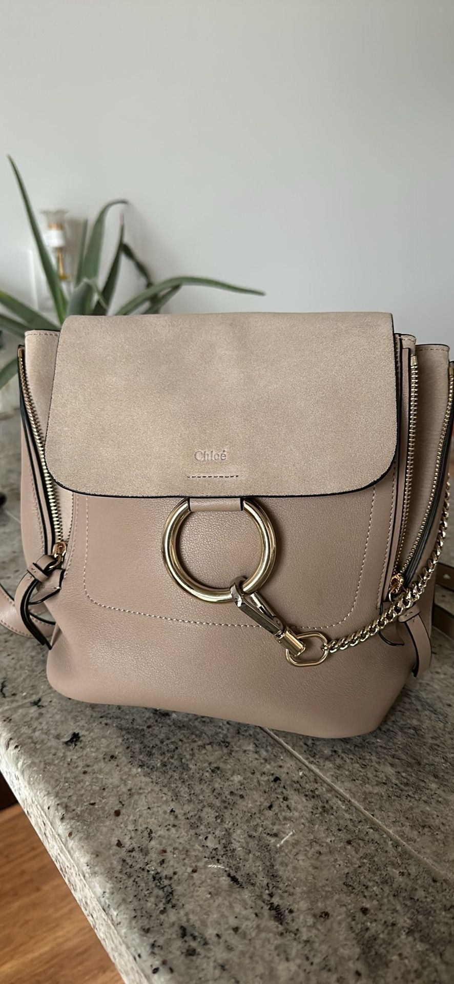 Chloe Backpack Purse
