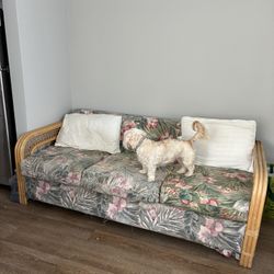 Rattan Sofa And Loveseat Project